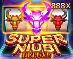 Super Niubi