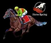Horsebook