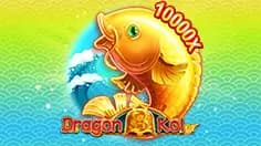 Dragon Koi